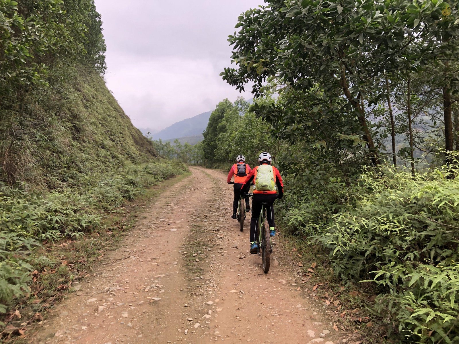 Conquer the High-Flying Roads: The Definitive Guide to Cycling the Dong Van Karst Plateau